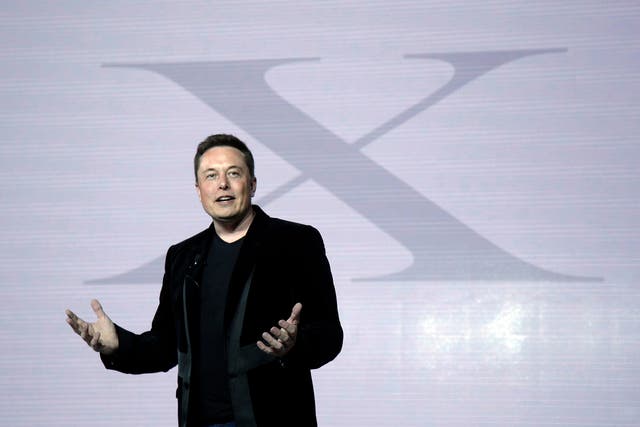 <p>Billionaire Elon Musk </p>