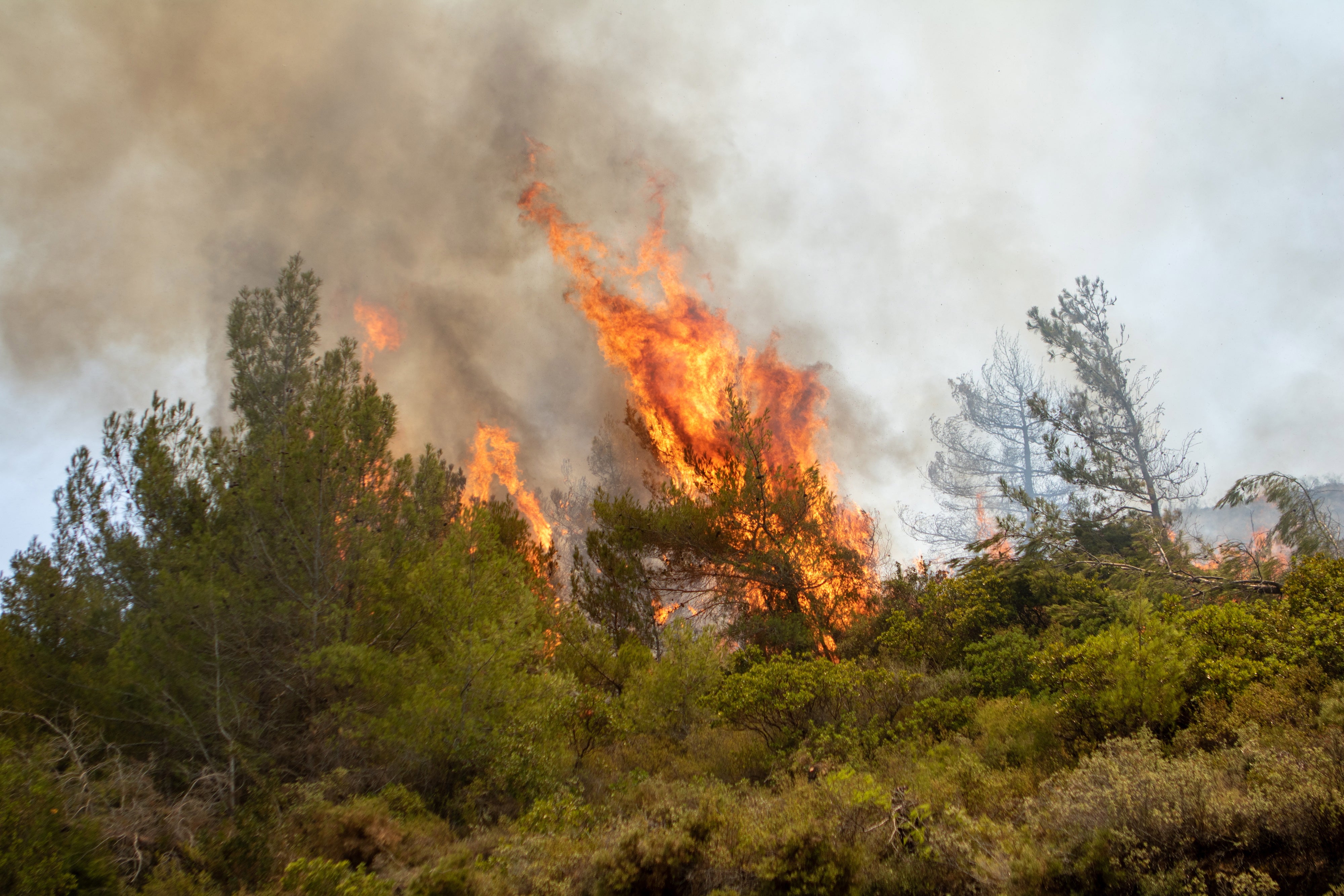 A wildfire burns in Vati village, on Rhodes island
