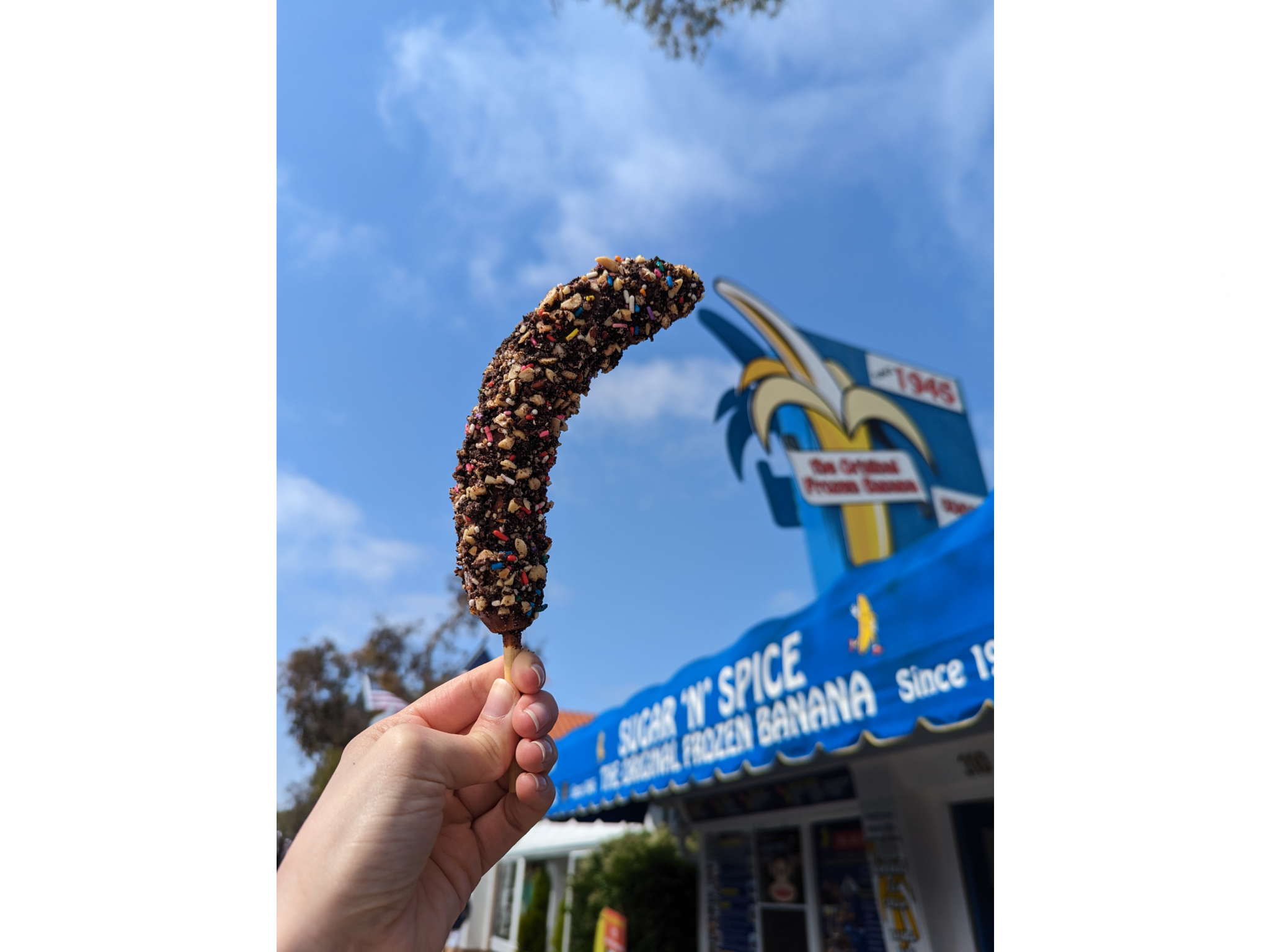 Frozen bananas dipped in chocolate are a must-try when visiting Newport Beach