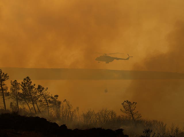 <p>A helicopter working to extinguish a wildfire in Beykoz, on the outskirts of Istanbul</p>