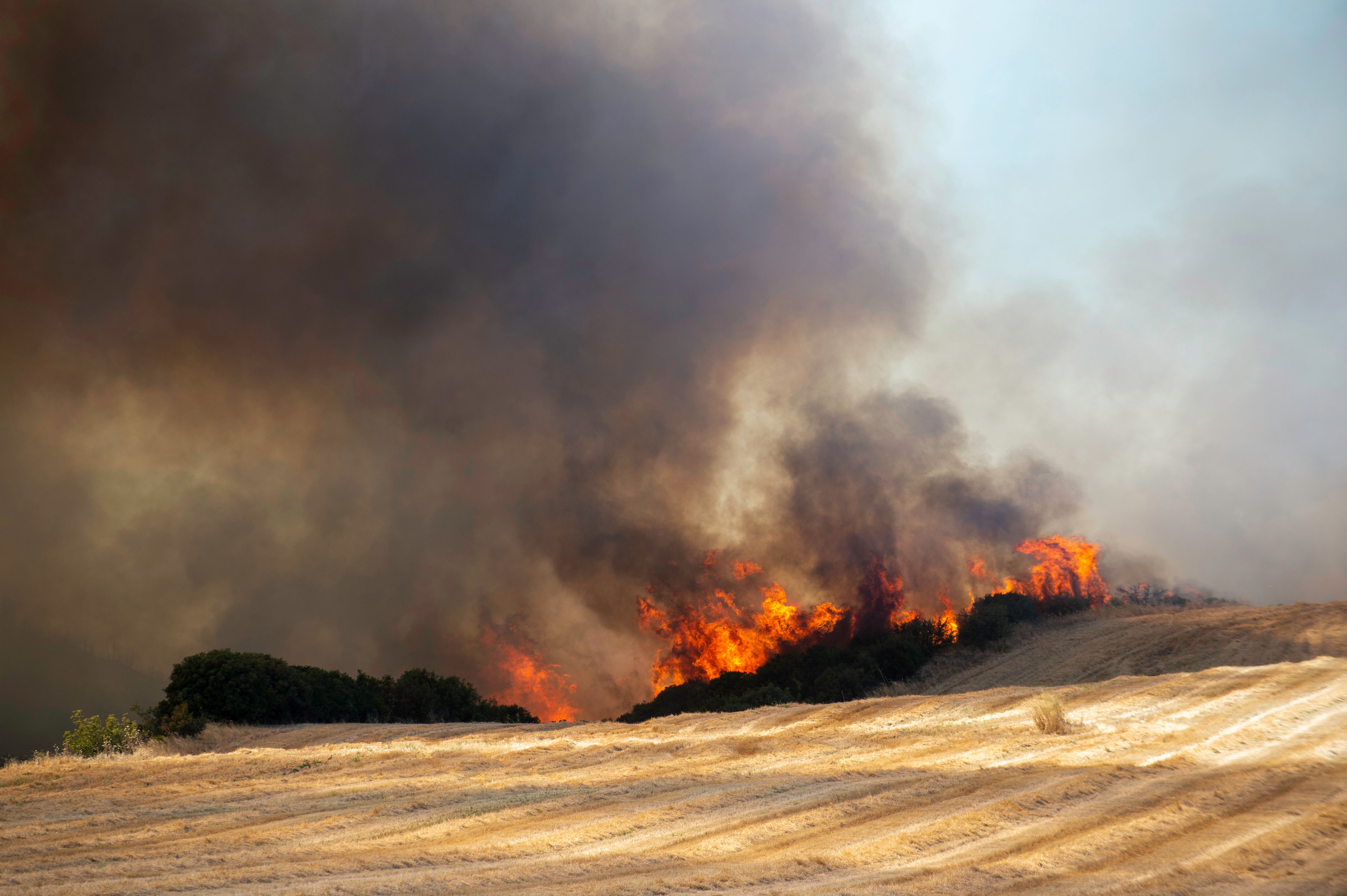 A fire burns fields, in Velestino, Magnesia prefecture, Greece