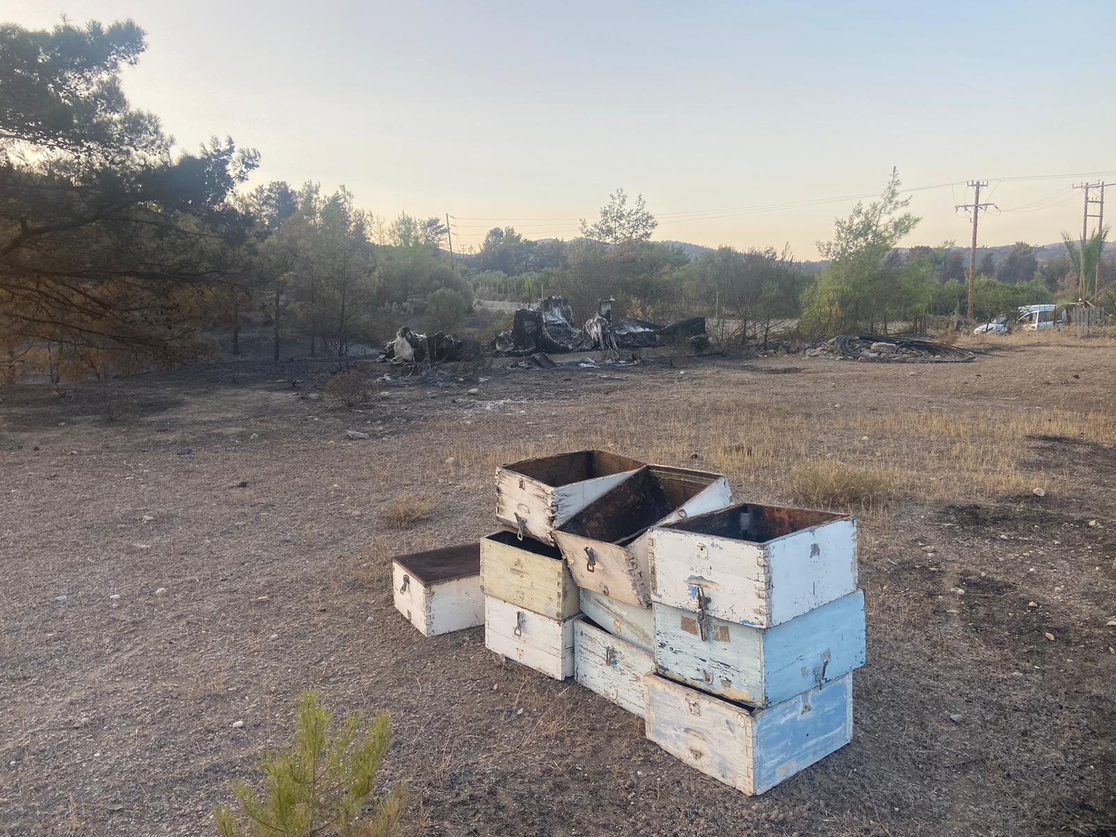 The remains of beekeeper’s hives and storage shed near Asklipio