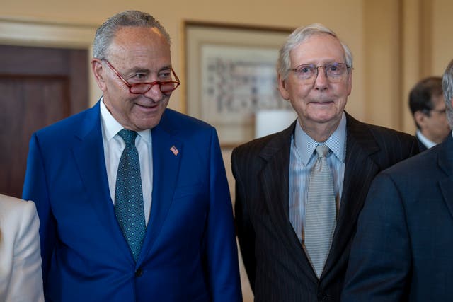 <p>Senate Majority Leader Chuck Schumer and Senate Minority Leader Mitch McConnell </p>