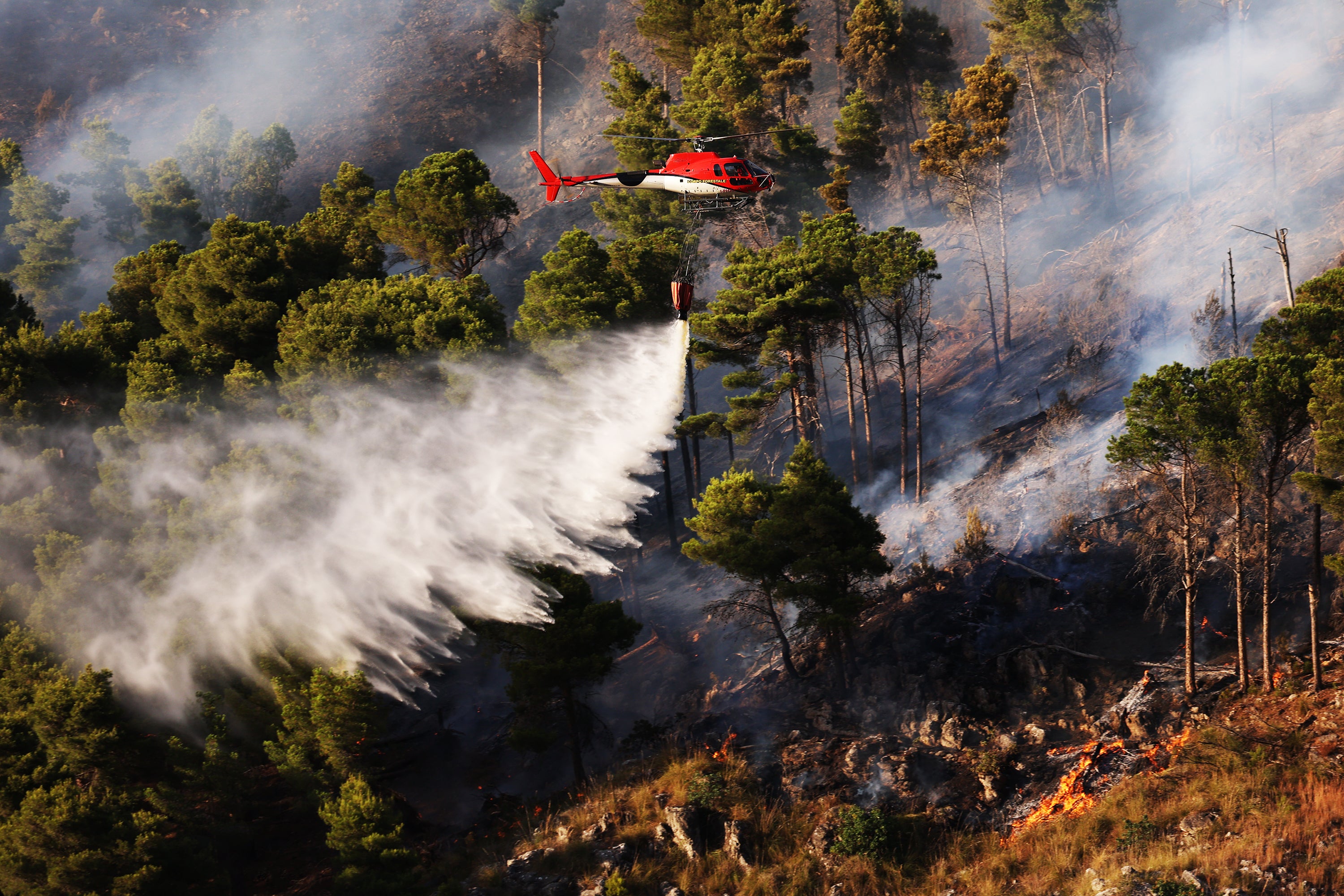 A firefighter helicopter drops water to intervene burning area during wildfire which continues to grow as it started the previous day in the scrub area in Palermo