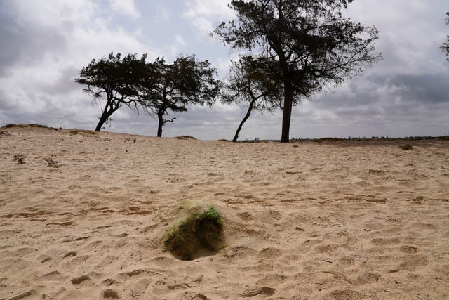 Migration Senegal Beach Graves Takeaways