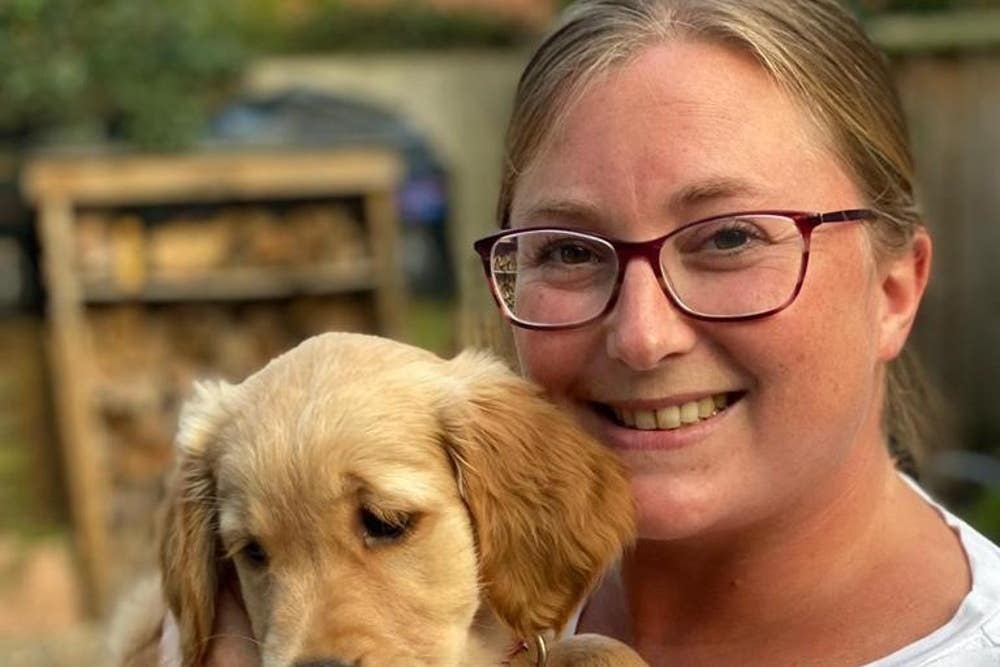 Drug-driver who killed woman and her dogs in crash jailed for six years - Vimarsana News