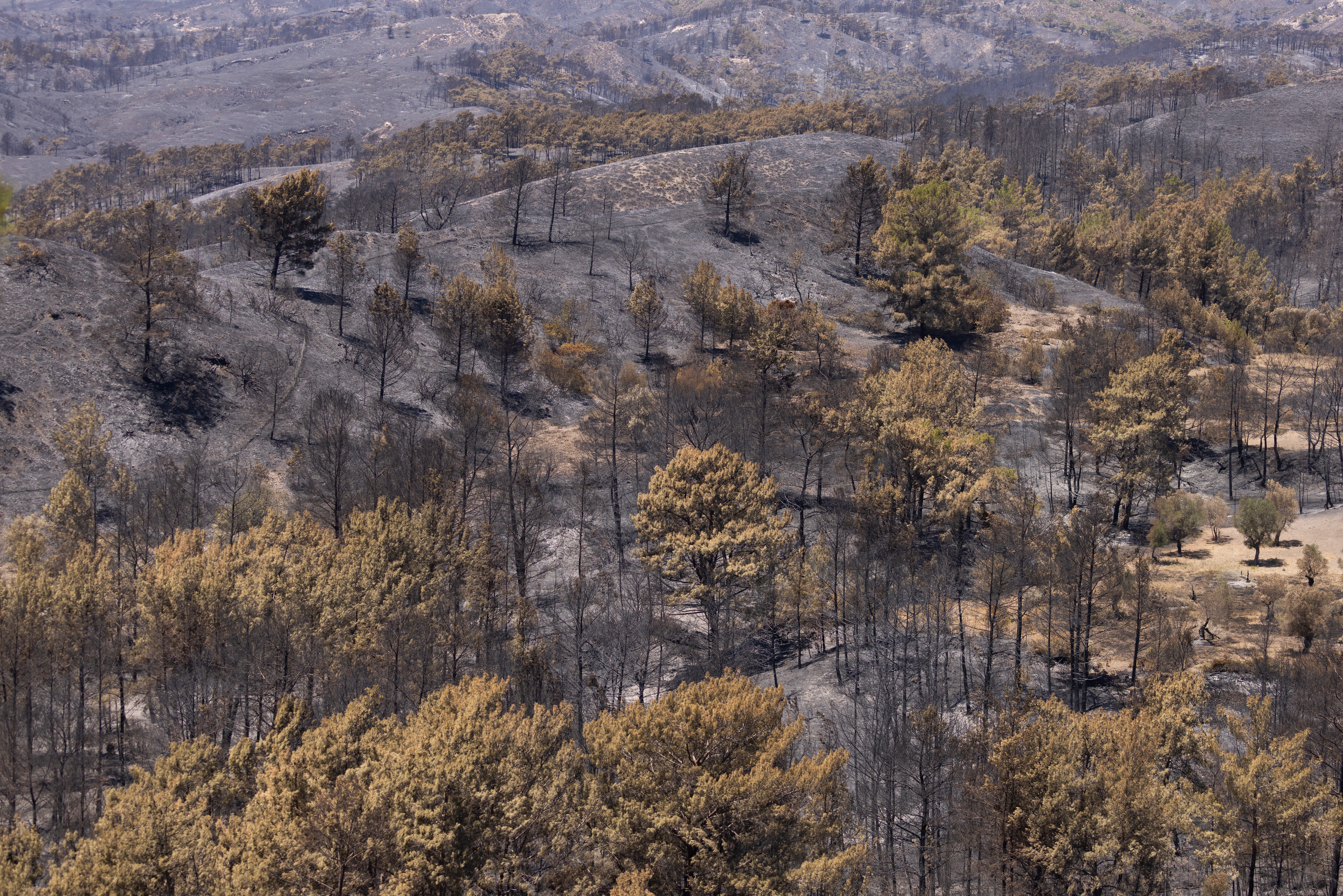 Burnt ground is seen on July 28, 2023 in Asklipio, Rhodes