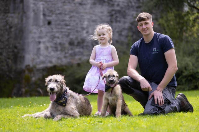 Affia Hussey, aged four, and Niall Moloney, farm manager at Bunratty Castle and Folk Park, with Irish wolfhounds 12-week-old Rian and one-year-old Mide. (Eamon Ward/PA)