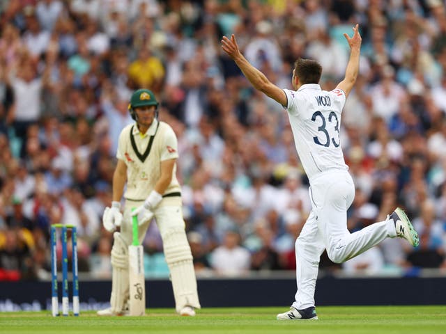 <p>England's Mark Wood celebrates after taking the wicket of Australia's Marnus Labuschagne</p>