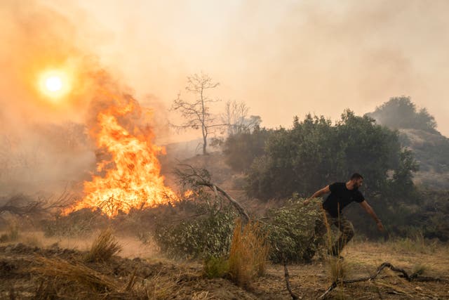 Greece Wildfires Photo Gallery