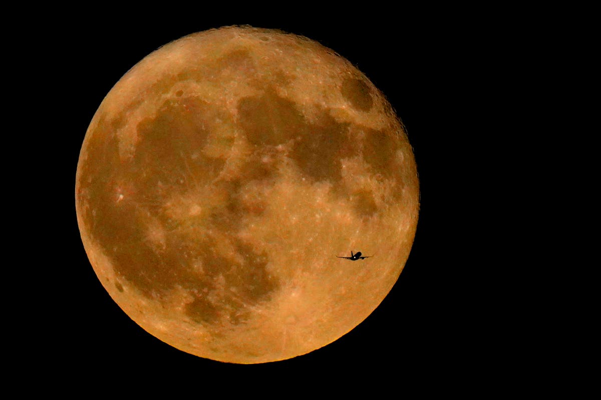 Supermoons 2023: When to watch August&rsquo;s double stargazing treat and Blue Moon phenomena 