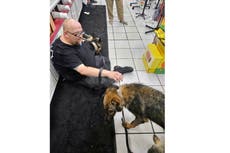 Prosecutor asks Indiana State Police to investigate dog deaths in uncooled rear of truck