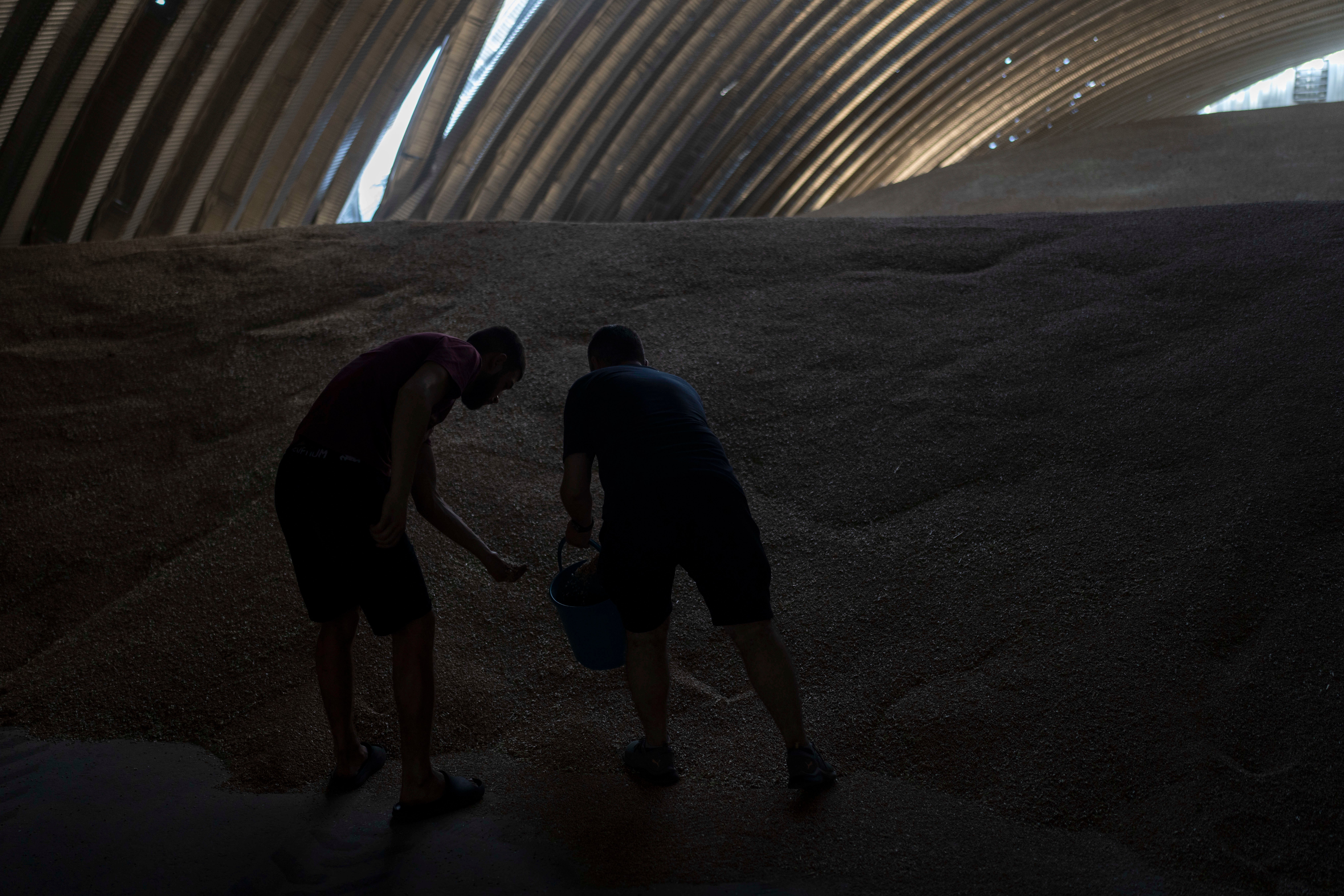 Russia Ukraine War Grain Export