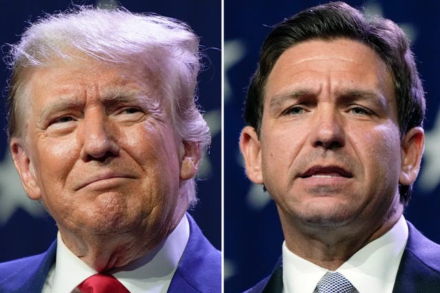 <p>Donald Trump has suggested that Ron DeSantis is about to drop out of the 2024 race </p>