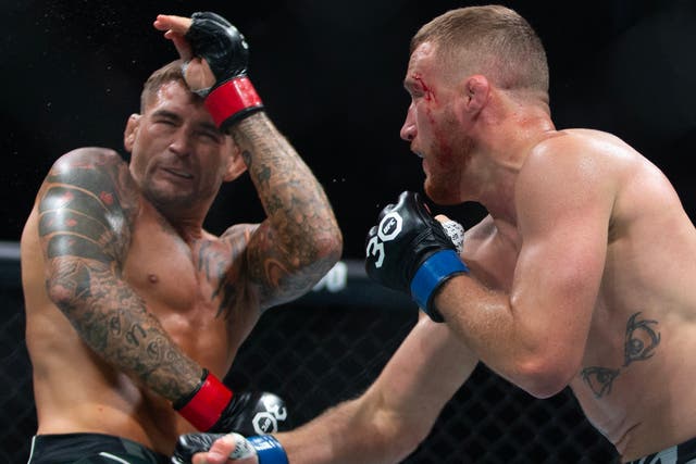 Dustin Poirier - latest news, breaking stories and comment - The Independent