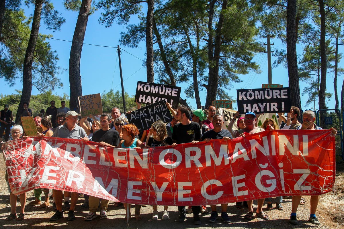 Locals vow to keep fighting to save a forest in southwest Turkey after the chainsaws finish work