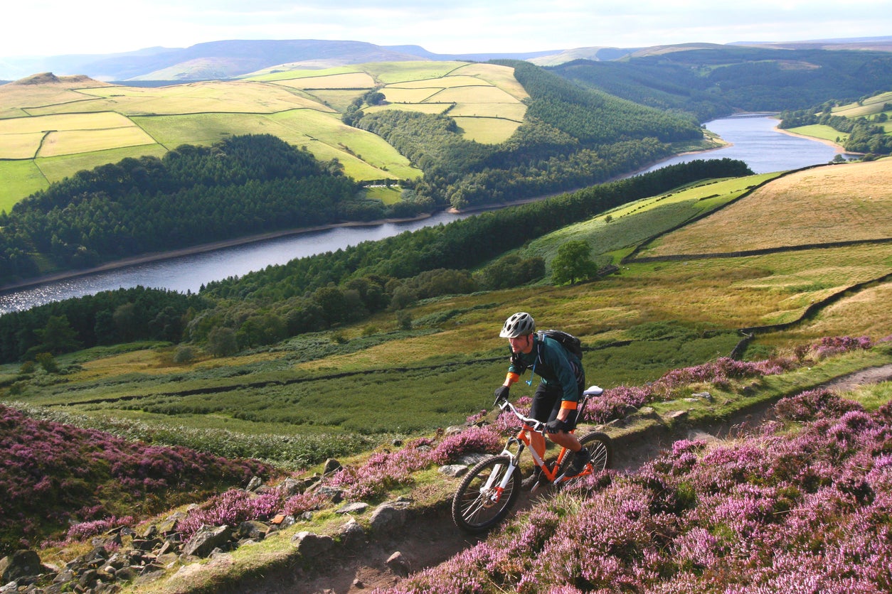 Cycle the C2C track from Whitehaven to Tynemouth