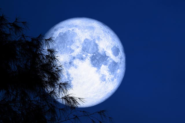 <p>A blue moon is the name given to a second full moon appearing in a single calendar month, though occasionally it does appear blue</p>