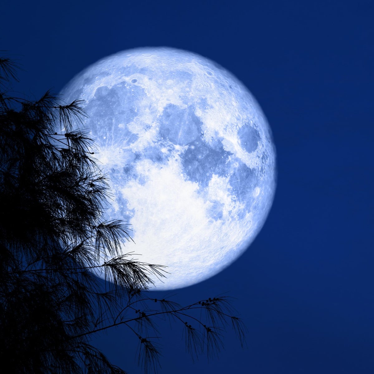 Full Blue Spectrum Full Blue Moon