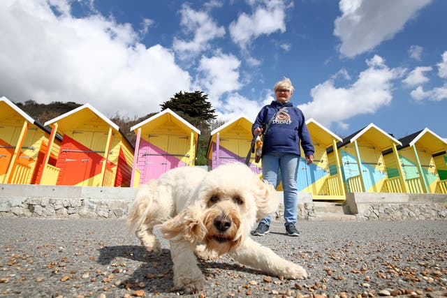 Angela Dillon takes Lily, a miniature goldendoodle, for a walk in Folkestone, Kent (PA)