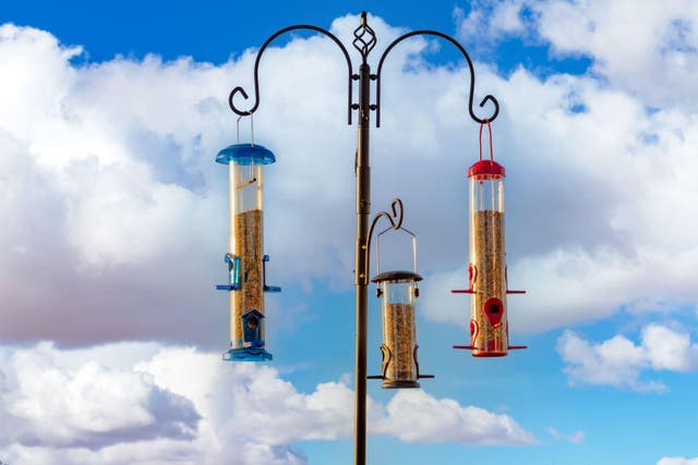 Despite the lack of birds in your garden, you should still keep feeders topped up for when they return (Alamy/PA)