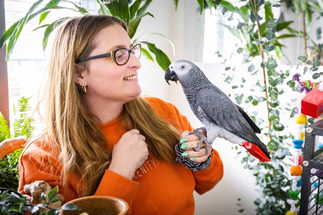 Lesley Herbert, who won ?2m on a National Lottery Scratchcard, has created a haven in her home for her two African grey parrots – including a flat-screen TV so they can watch Dog The Bounty Hunter (Camelot/PA)