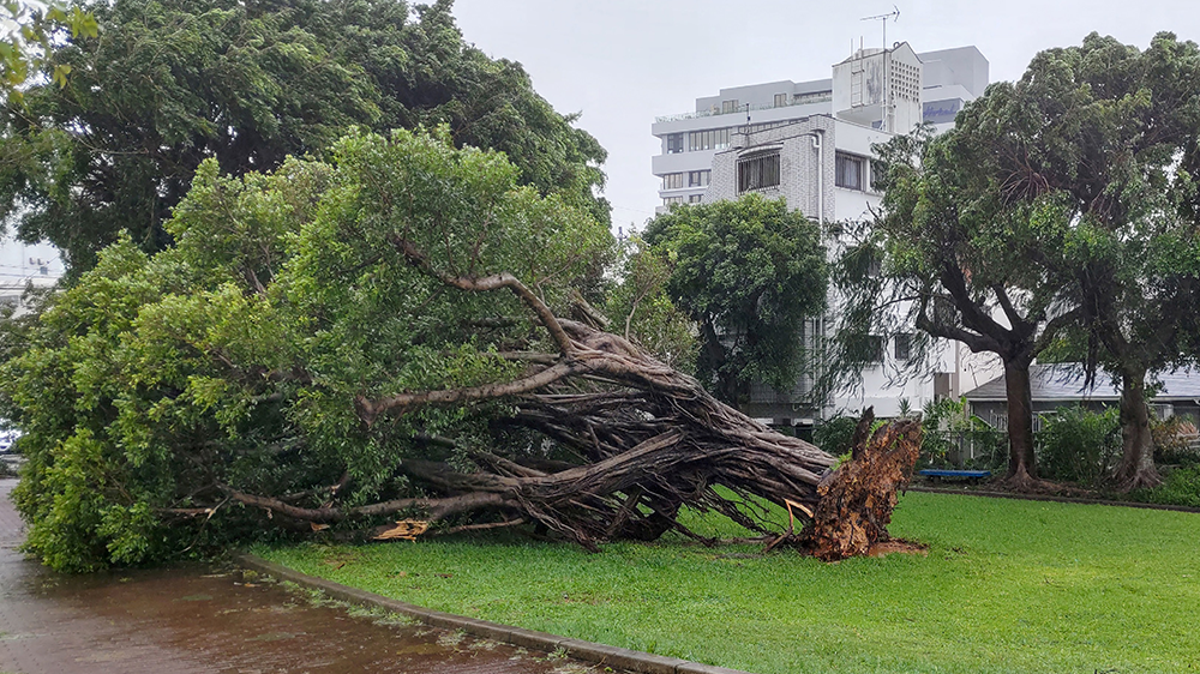Watch live: Okinawa coastline as Typhoon Khanun approaches Japan