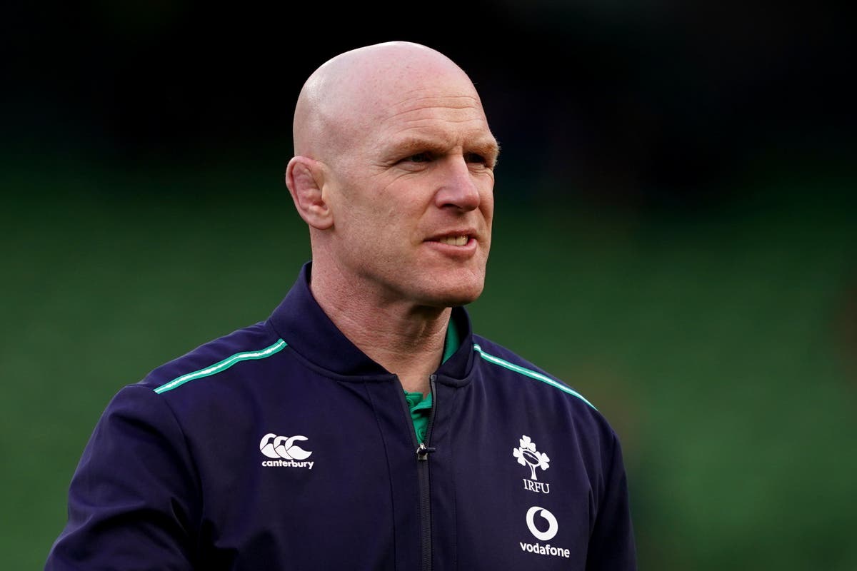 Paul O’Connell has no concerns with inexperienced Ireland fly-halves