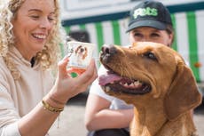 Ice cream van helps dogs stay cool serving up frozen treats