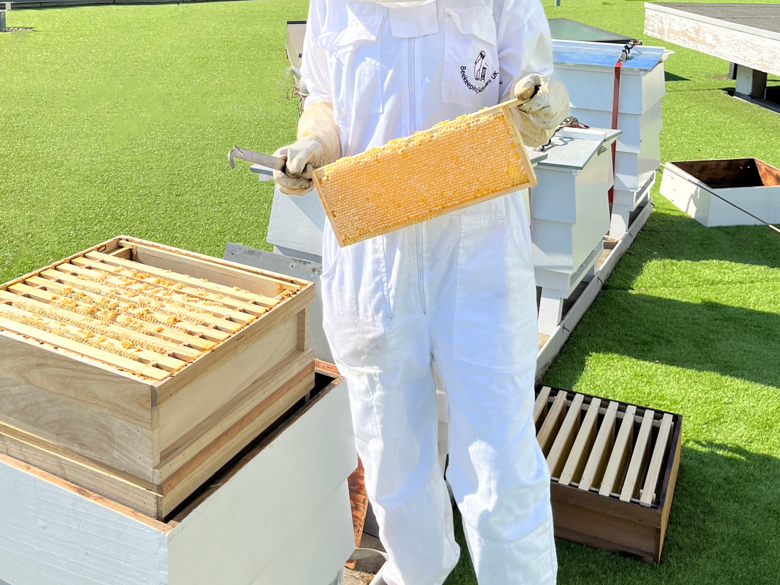 Sweet rewards: Harvesting the honey from the beehives at Royal Lancaster London