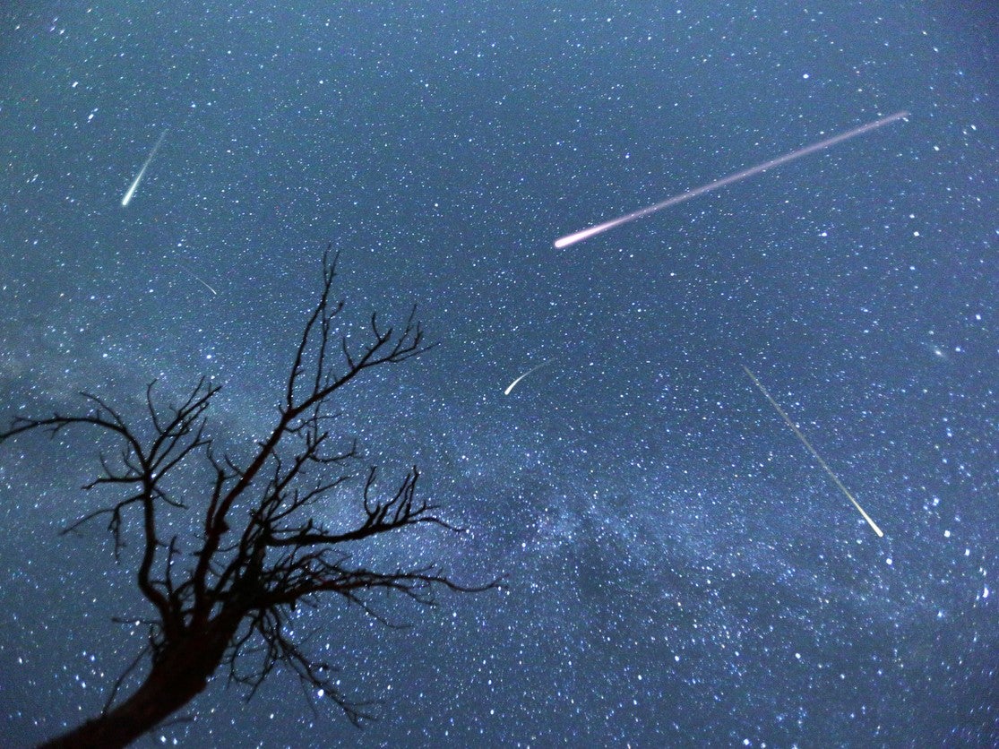 The Perseid meteor shower will peak on 12 August, 2023