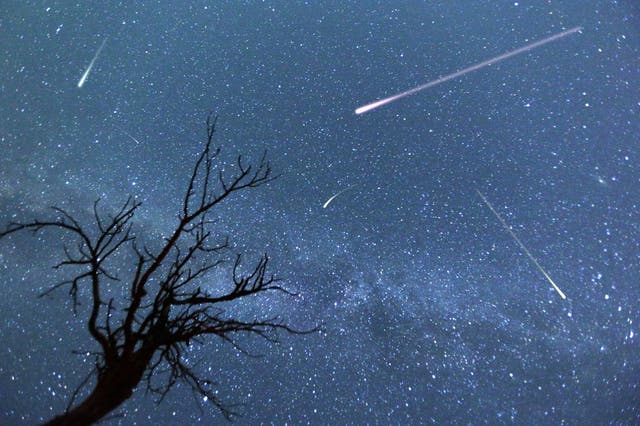 <p>The Perseid meteor shower will peak tonight </p>