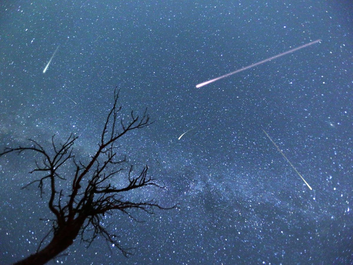 Perseid meteor shower offers best chance to see a ‘shooting star’ in 2023