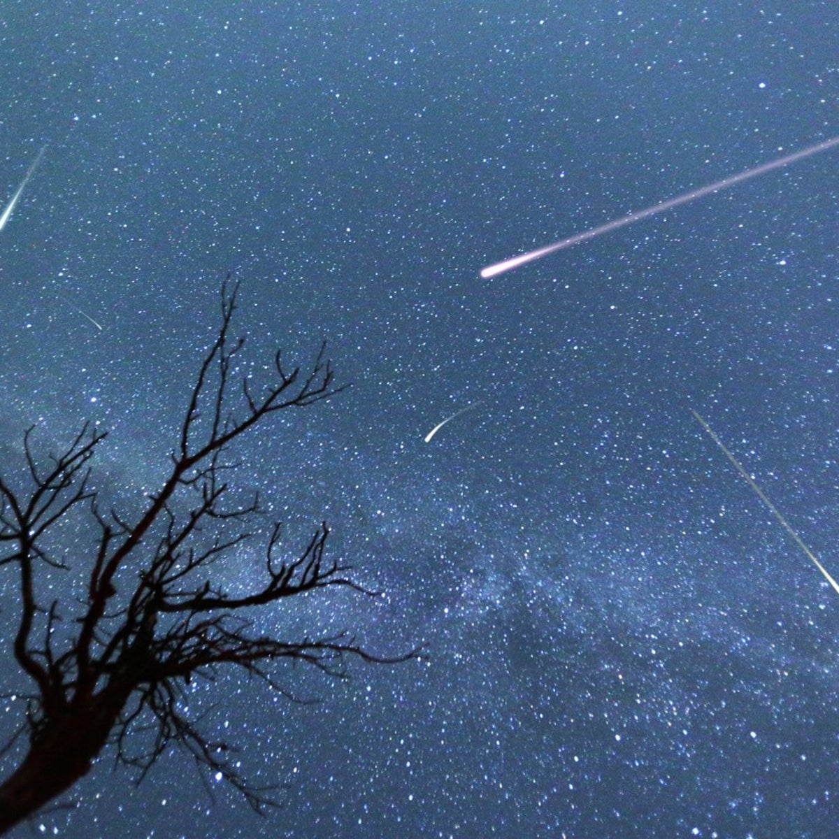 When Is the Best Time to Have a Meteor Shower? When Is the Best Time to Have a Meteor Shower?