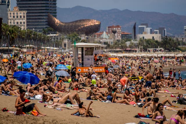<p>People sunbathe on the beach in Barcelona</p>