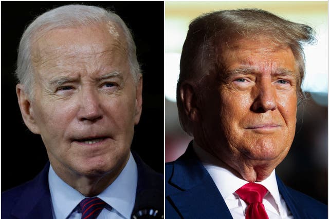 <p>A new Fox News poll shows Joe Biden narrowly leading Donald Trump </p>