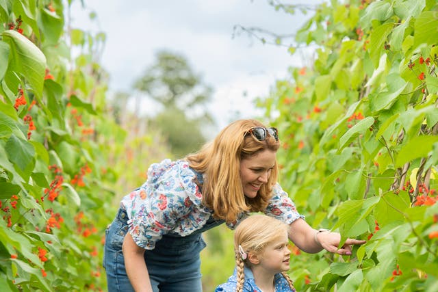 <p>Mums and dads revealed they give their children fruit and veg they know and like - to ensure they get the goodness they need</p>