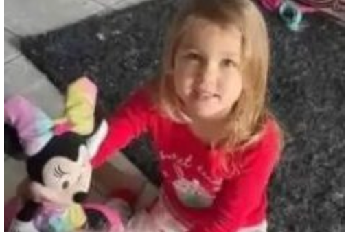 Harper Finn, 5, died three days after she was hit by a starting gate during a harness race at the Effingham County Fair in Illinois