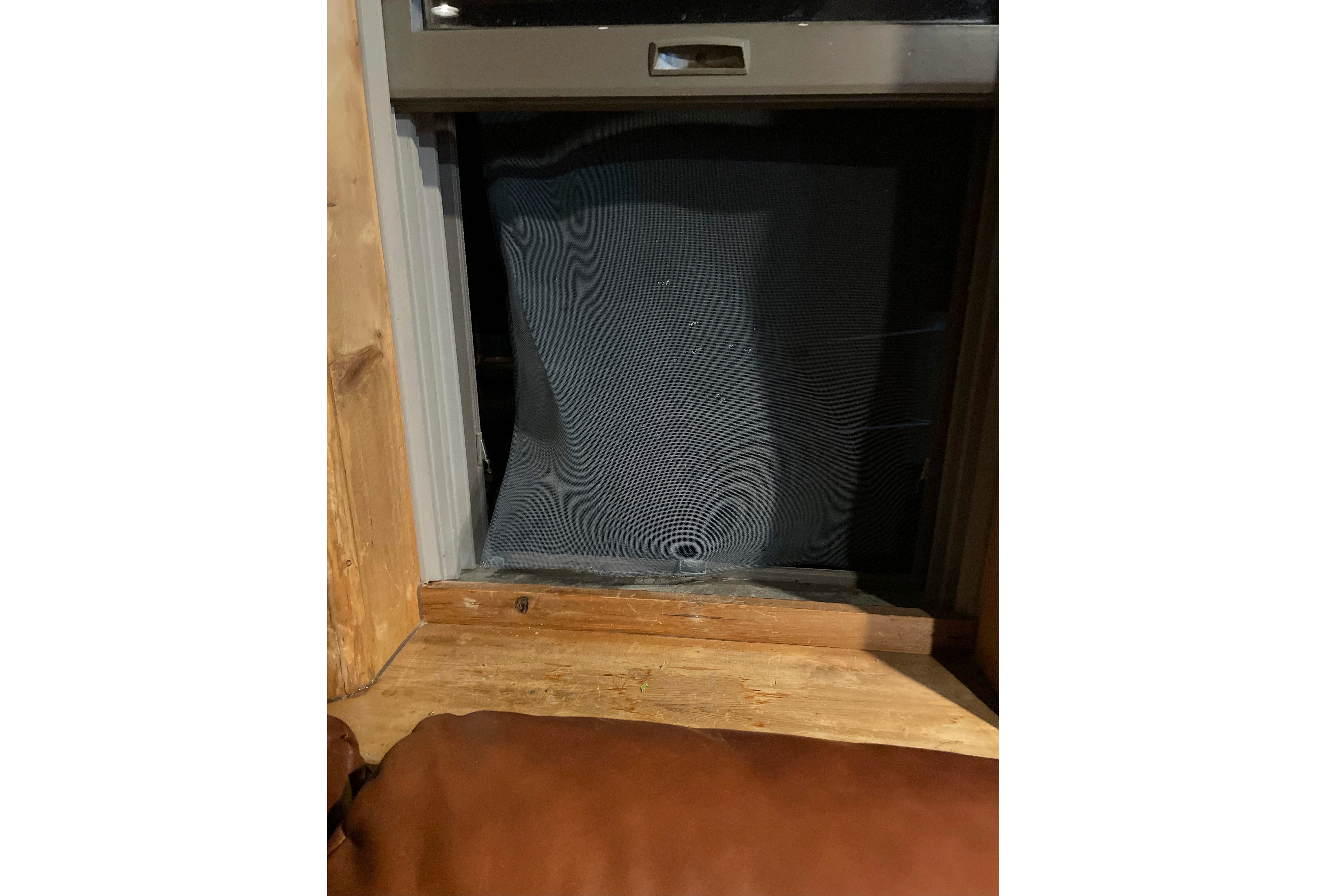 Bear Killed Living Room