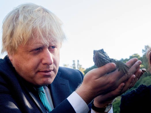 Mr Johnson and a lizard