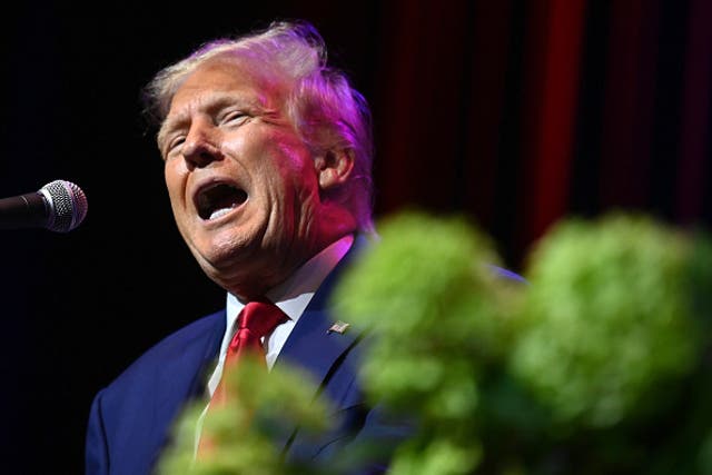 <p>Donald Trump complained that his  ‘gorgeous head of hair’ is not getting enough water when he showers </p>