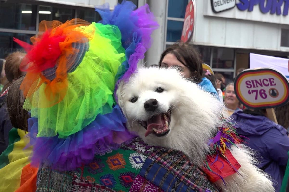 Weather won&rsquo;t stop us celebrating Brighton and Hove Pride, organisers say