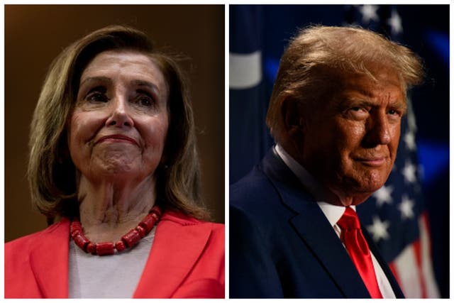 <p>Donald Trump lashed out at Nancy Pelosi after she said he looked like a ‘scared puppy’ going into his arraignment </p>