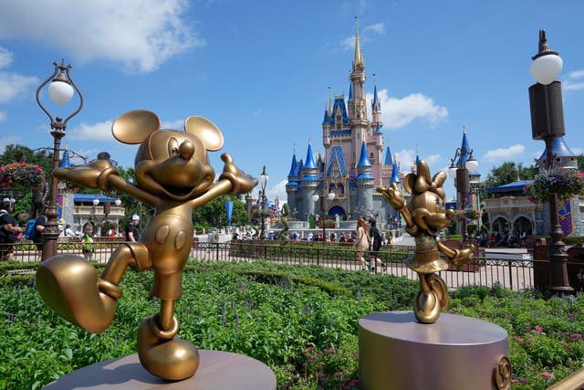 <p>Magic Kingdom at Disney World. </p>
