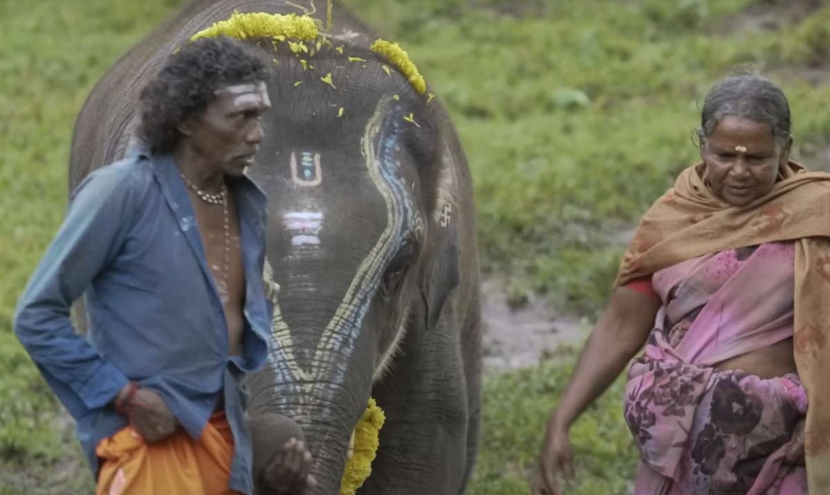 ‘The Elephant Whisperers’ couple that inspired Oscar-winning documentary allege exploitation by filmmakers ‘The Elephant Whisperers’ couple that inspired Oscar-winning documentary allege exploitation by filmmakers