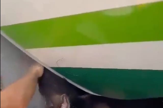 international air travel news uk <p>A video circulating on social media shows the bear in the plane’s cargo hold</p>