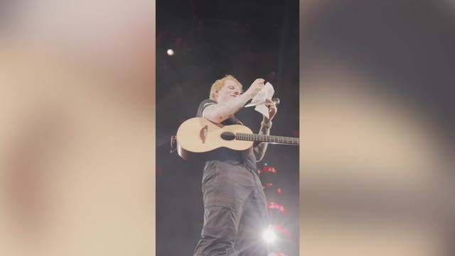 <p>Ed Sheeran stopped his concert in America to announce the sex of a couple’s unborn child in a gender reveal with a difference.</p>