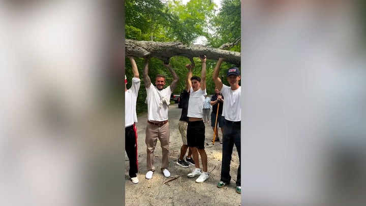 <p>David Beckham and son Cruz join actor Austin Butler to lift fallen tree blocking path</p>