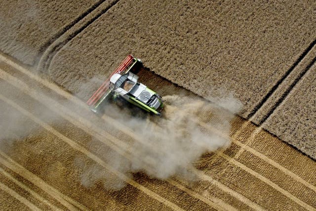 A combine harvester gathers in a crop of corn on the Romney Marsh in Kent as farmers continue to dodge rain showers over the summer period (PA/Gareth Fuller)