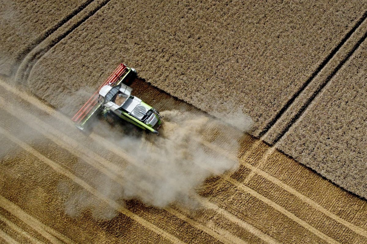 Weather in coming weeks &lsquo;absolutely crucial&rsquo; to harvest, union leader warns